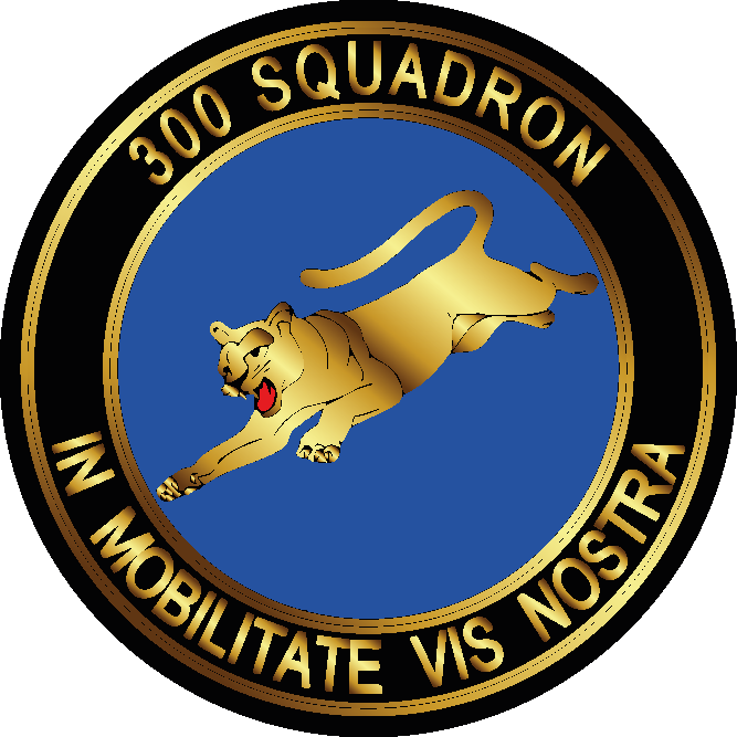 300 squadron patch