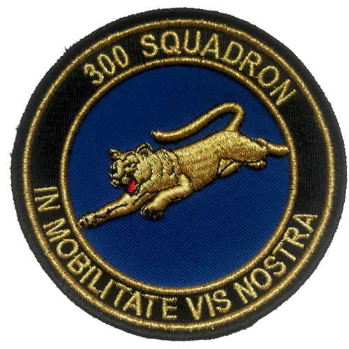 Patch 300 Squadron Goud